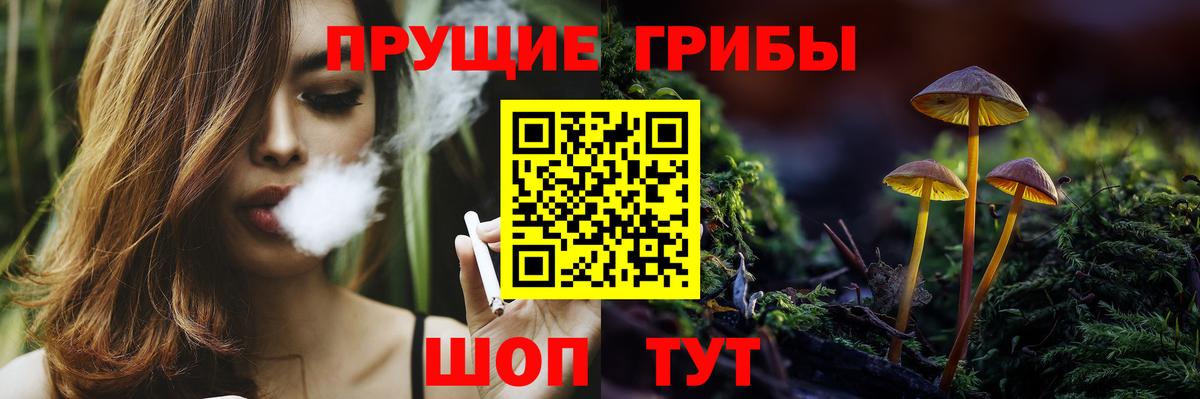 Галлюциногенные грибы Cubensis  Вход с VPN  Магнитогорск 